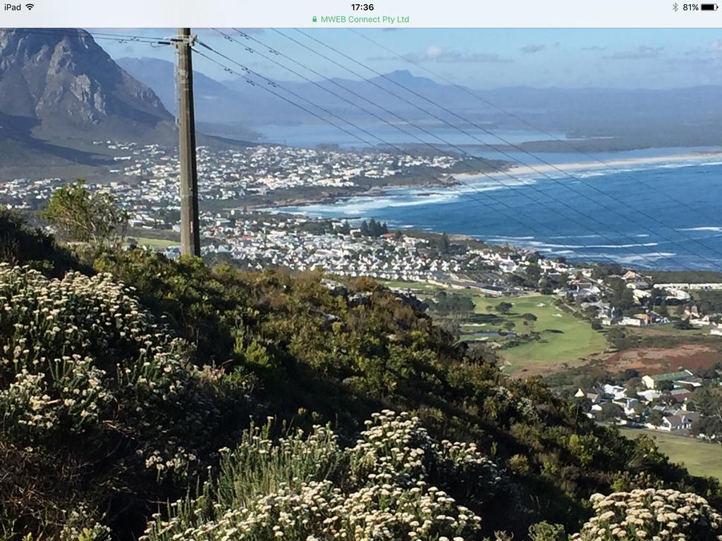77 On 7Th Street Lejlighed Hermanus Eksteriør billede